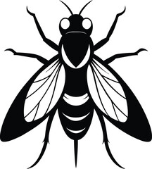 Fly insect silhouette, fly illustration