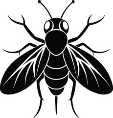 Fly insect silhouette, fly illustration