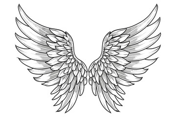 Fototapeta premium Sketch angel wings. Angel feather wing. Vector illustration.