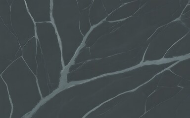Abstract Dark Gray Marble Texture with White Veins