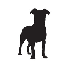 dog silhouette isolated on white background