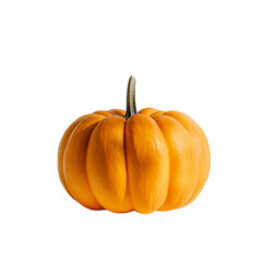 Obraz premium Pumpkin on white background
