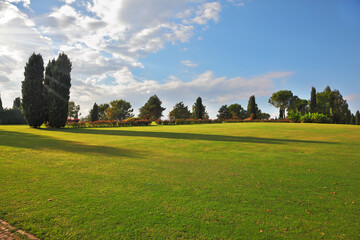 A large green meadow in the park