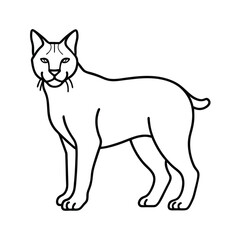 minimal horseshoe crab line drawing vector