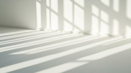 Obraz premium Soft Window Light Casting Shadows on White Floor 