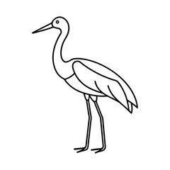 stork on a branch