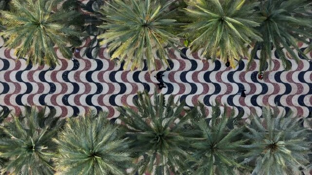 Esplanade Promenade. Alicante, Spain. Birds Eye Aerial View of Famous Pedestrian Walkway and Coastal Traffic.