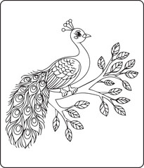 Fototapeta premium Beautiful peacock sitting on tree branch coloring page for kids, black line art vector illustration for children activity book design