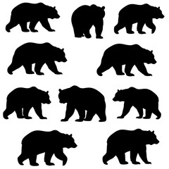 Bear Silhouette Symphony