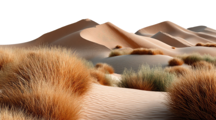 Desert Dunes' Embrace: Sun-kissed sand dunes stretch across the horizon, their curves echoing in the warm, arid landscape, whispering tales of ancient times. 