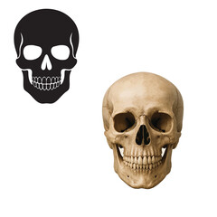 skull and crossbones with white background