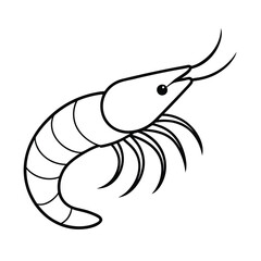 outlined vector design of shrimp line art