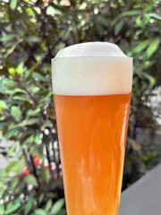 birra chiara fresca nel bicchiere