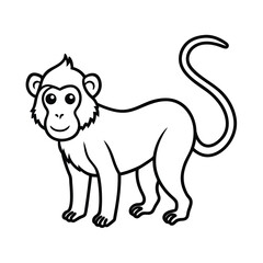 simple mandrill line art vector of baby primate 