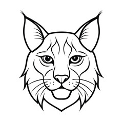 vector line drawing of lynx face illustration