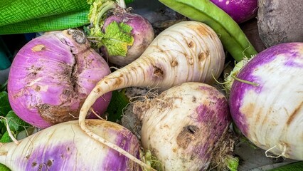 Earthy turnips in whimsical disarray, roots' rustic charm, celebrating National Roots Day and...