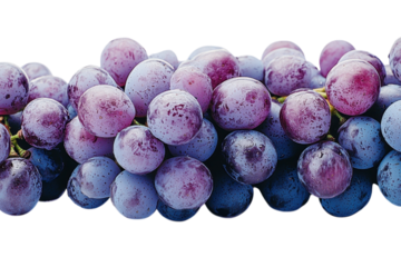 A luscious cluster of grapes glistening with dew evoking a sense of abundance and summer on transparent background