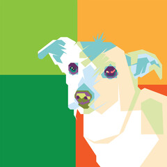 colorful dog with colorful background to