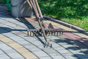 Garden tools of rake hoe fork on backyard in springtime. Still life with gardening functional...