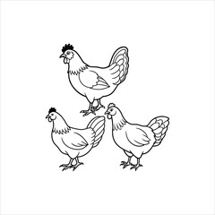 vector illustration of a hen