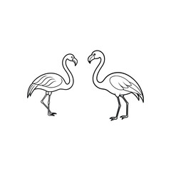 Fototapeta premium flamingo