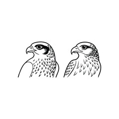 hawk vector