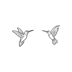 hummingbird