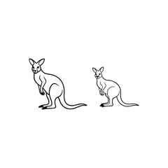 kangaroo