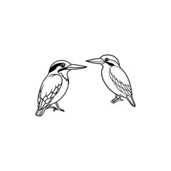 kingfisher