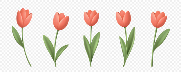 Fototapeta premium Tulip Vector Set. Realistic Tulip Vector Illustration in Red and Pink Colors. Spring Tulip Vector Clipart for Floral Design. Modern Tulip Symbol for Decoration, Greeting Card, Wedding