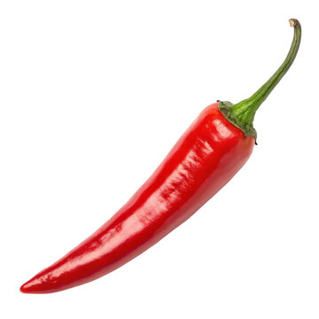 red hot chili pepper isolated on white background