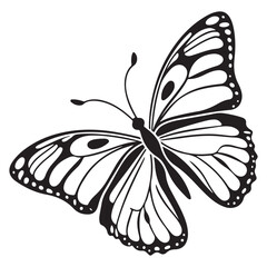 Floral Meadow and Butterfly Wall Art Outline

