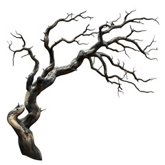 Abstract gnarled tree, dark, isolated on black background.