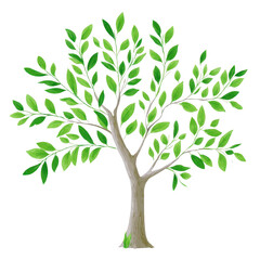 Digitally illustrated tree with lush green leaves and sturdy brown trunk, showcasing natural and vibrant appearance. branches spread symmetrically, creating balanced and harmonious look