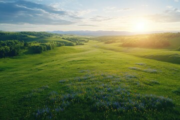 Obraz premium Sunrise over rolling hills green landscape nature photography serene environment wide angle view tranquility and renewal