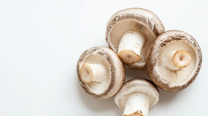 Fresh mushrooms arranged on a clean surface
