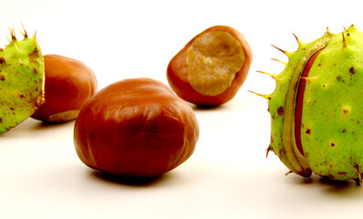 Raw chestnuts on white background. Colorful close-up photo. copy space. Raw nuts. Cooking. Diet....