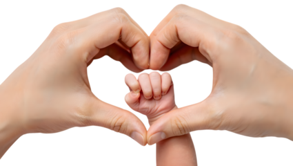 Two hands forming a heart around a baby s fist isolated on transparent background