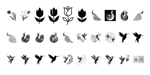 Floral and Bird Vector Icons – Hummingbird, Peacock, and Flower Silhouette Icon Set
