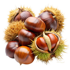 chestnuts  isolated on white background. PNG Transparent file type with high definition quality And vibrant color grading Available.