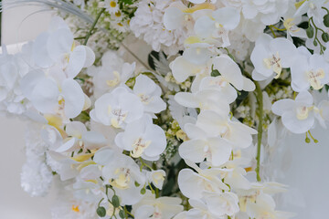 Fluffy white hydrangeas and delicate white filler flowers complete the lush and harmonious display. 
The bright lighting enhances the pure white tones, creating a soft and serene aesthetic.