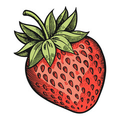 Fresh Colorful Strawberry Pattern Illustration