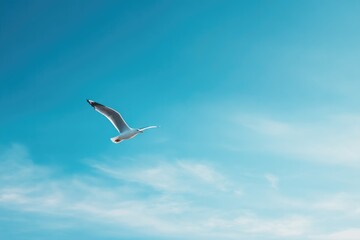 Obraz premium single bird soars gracefully against vast sky backdrop composition emphasizing tranquility and freedom