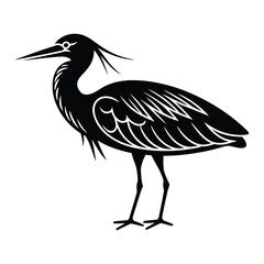 A bronze winged jacana bird black silhouette vector

