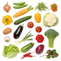 set of vegetables isolated on white