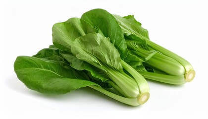 fresh asian green isolated on white background, organic and healthy food, raw vegetable