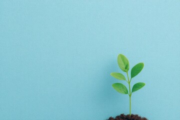 minimalistic composition featuring single plant symbolizing long-term growth and investment potential with ample copy