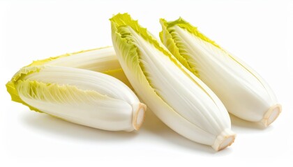 fresh endives isolated on white background, organic and healthy food