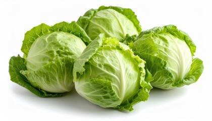 Fototapeta premium fresh escarole isolated on white background, organic and healthy food
