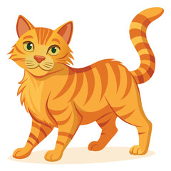 A majestic ginger cat with a slightly ruffled coat walking forward confidently on white background
